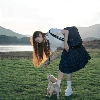 忍者神龟第五季